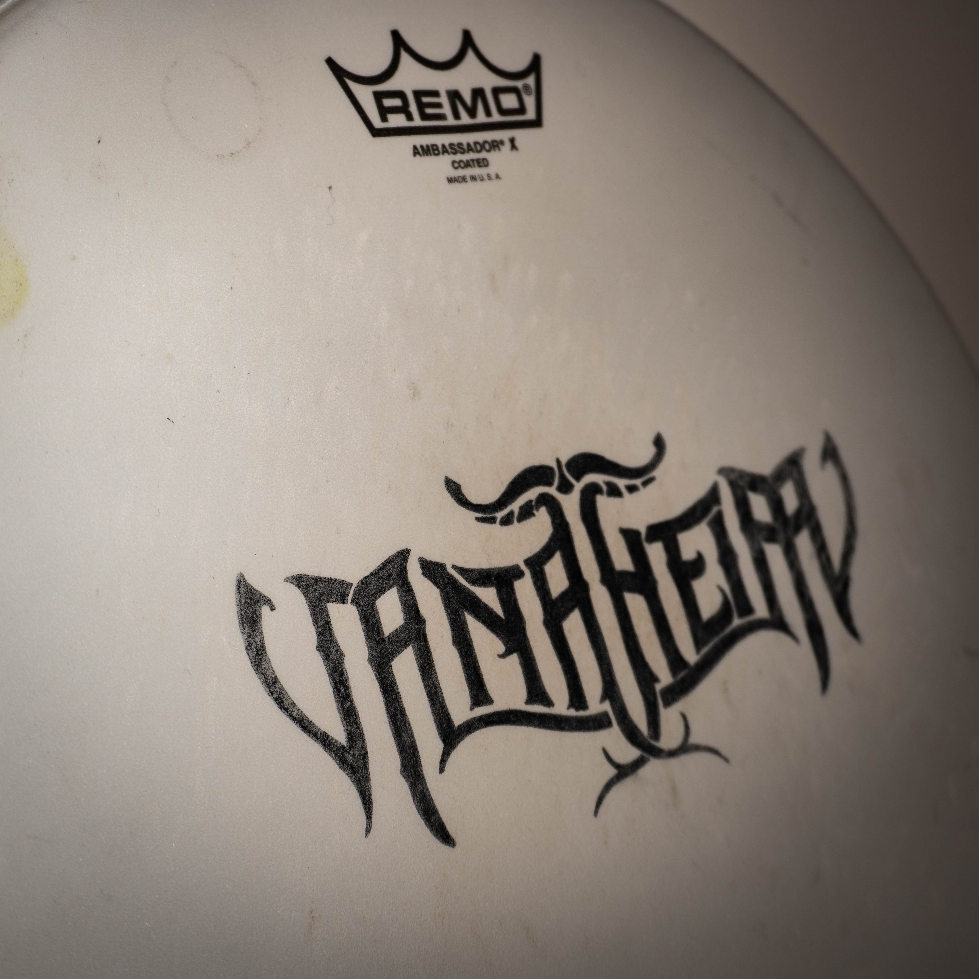 Studio Snaredrum Head, Signed (EXCLUSIVE)